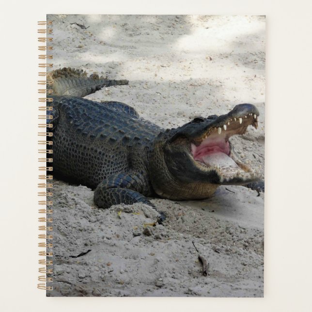 Alligator, Fort Lauderdale, Florida Planner (Front)