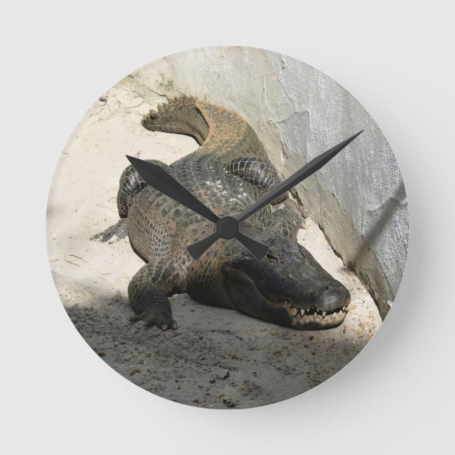 Alligator, Fort Lauderdale, Florida Round Clock (Front)