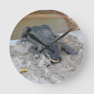 Alligator, Fort Lauderdale, Florida Round Clock