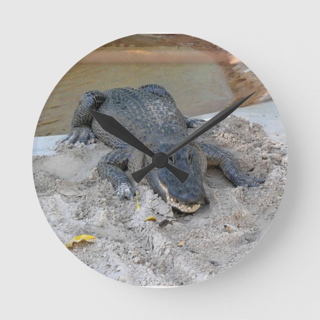 Alligator, Fort Lauderdale, Florida Round Clock (Front)