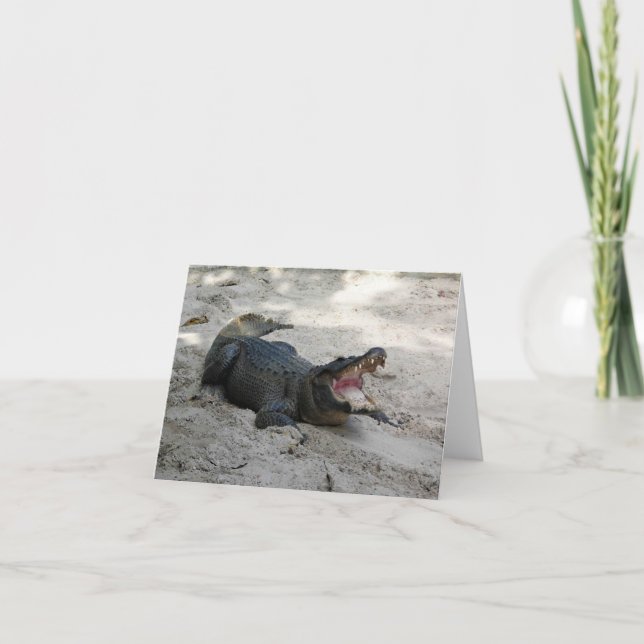 Alligator, Fort Lauderdale, Florida Thank You Card (Front)