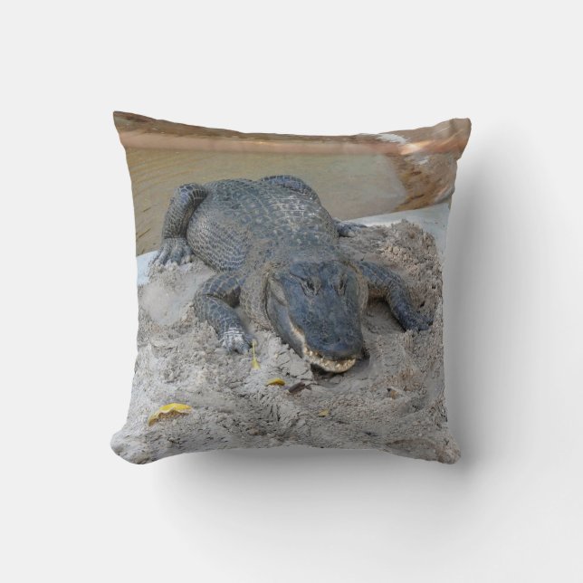 Alligator, Fort Lauderdale, Florida Throw Pillow (Front)
