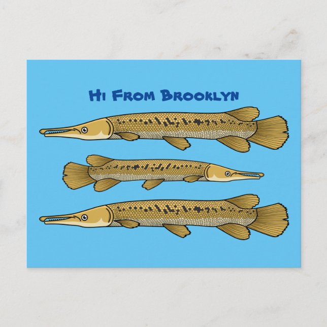 Alligator garfish cartoon illustration postcard (Front)