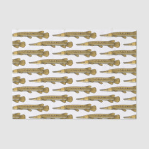Alligator garfish cartoon illustration  tissue paper