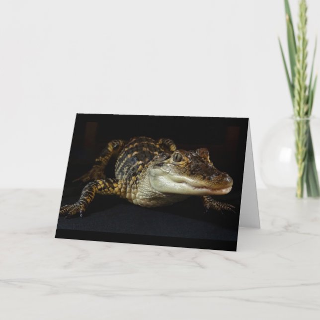 Alligator Greeting Card Blank Inside (Front)