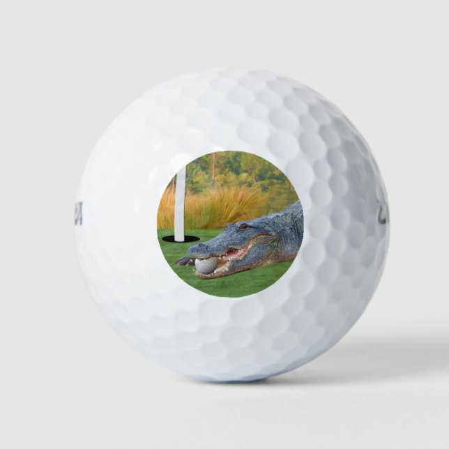 Alligator, Hazardous Lie on Golf Course Balls (Front)