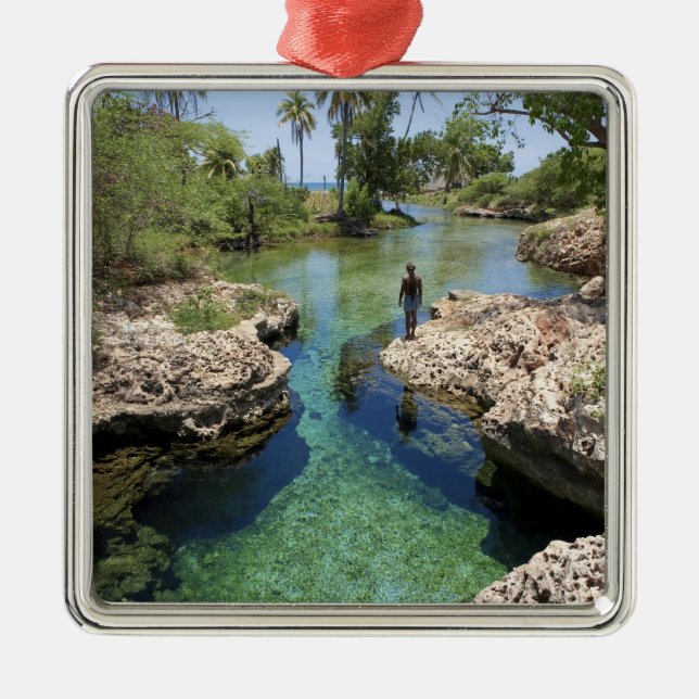 Alligator Hole, Black River Town, Jamaica Metal Ornament (Front)