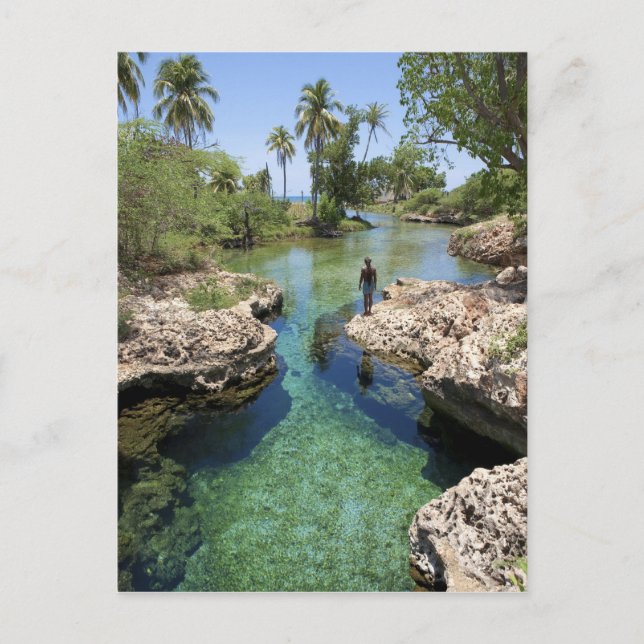 Alligator Hole, Black River Town, Jamaica Postcard (Front)