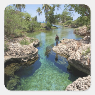 Alligator Hole, Black River Town, Jamaica Square Sticker