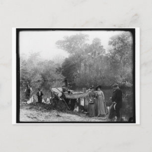 Alligator Hunting, Tomoka River, Florida 1880-1897 Postcard