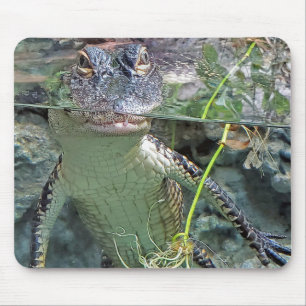 Alligator In Pond Mouse Pad