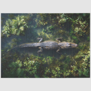 Alligator in Shallow Wetland Water Tissue Paper