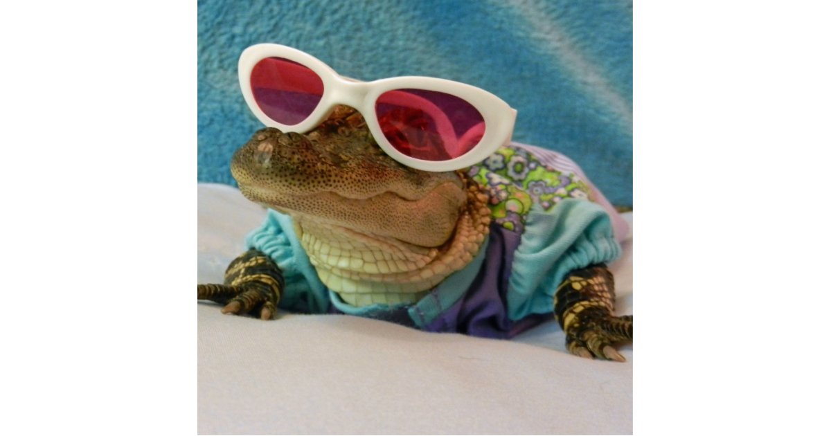 Alligator In Sunglasses Sculpture Standing Photo Sculpture Zazzle