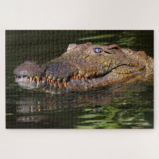 Alligator Jigsaw Puzzle (Horizontal)