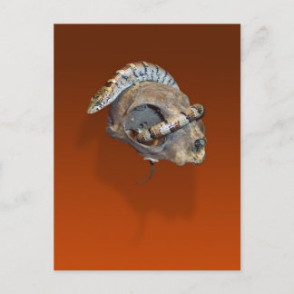 Alligator Lizard sur une carte postale crâne de ch