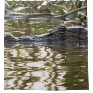 Alligator Lurking in Swamp Waters
