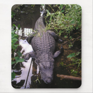 Alligator Mouse Pad