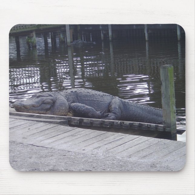 Alligator Mouse Pad (Front)