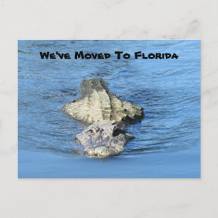 Alligator Moved to Florida - New Address Post Card