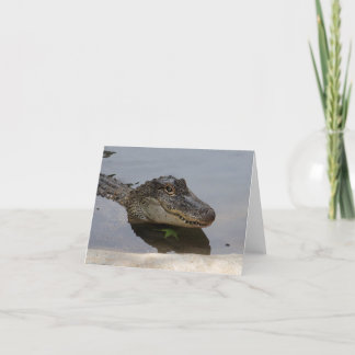 Alligator Note Card