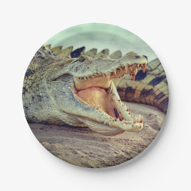 Alligator Paper Plate (Front)