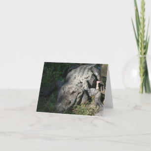 Alligator Photo Folded Note Card