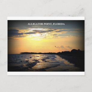 ALLIGATOR POINT, FLORIDA POSTCARD