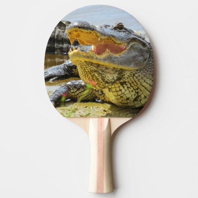 Alligator portrait. Florida alligators Ping Pong Paddle (Front)