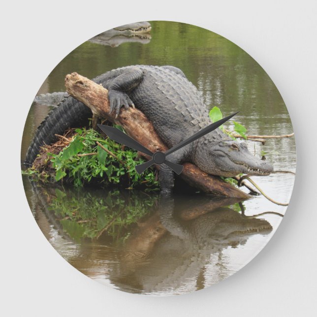 Alligator - Réflexions du temps - Horloge murale (Recto)