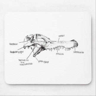 Alligator Skull Diagram Mouse Pad