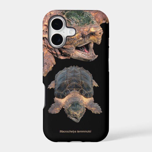 Alligator snapping turtle iPhone Case,No.2 (Back)
