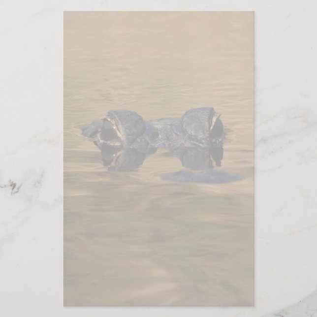 alligator stationery (Front)