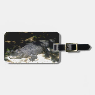 Alligator Sunbathing Luggage Tag