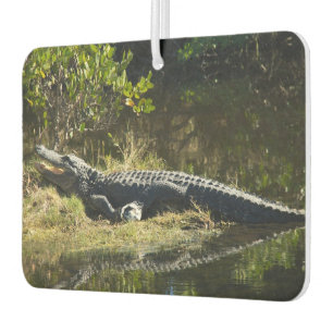 Alligator Sunbathing on Riverbank Florida Air Freshener