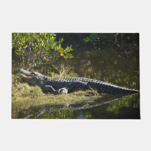 Alligator Sunning on Marsh Bank Doormat