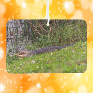 Alligator Viera Wetlands Florida Photo Air Freshener