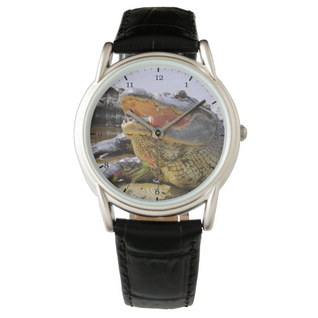 Alligator Watch (Front)