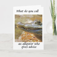 ALLIGATOR WHO DISPENSES BIRTHDAY ADVICE