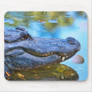 Alligator with Golfball Mousepad