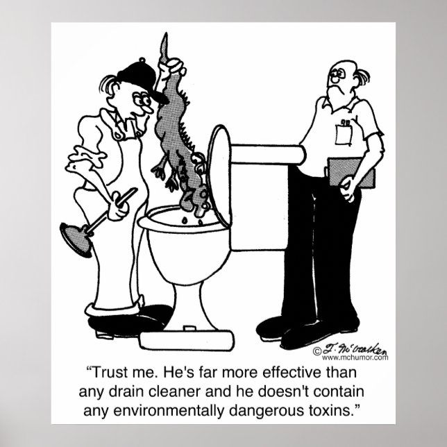 Alligators as Drain Cleaners Poster (Front)