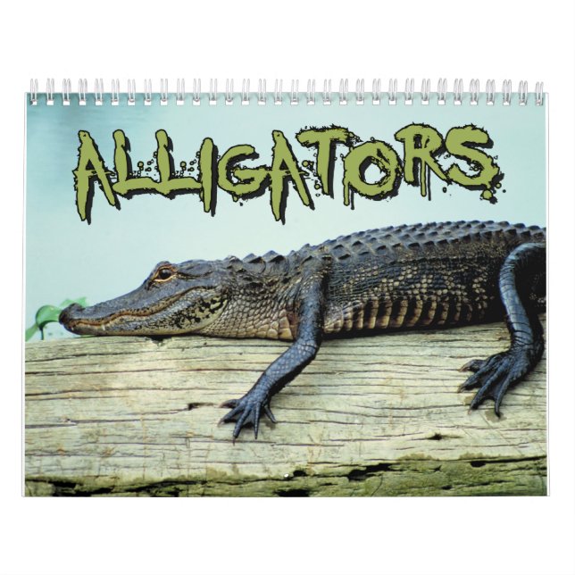 Alligators Wall Calendar (Cover)
