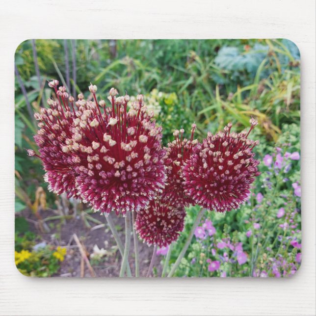 Allium Flowering Onion Plants Mouse Pad (Front)