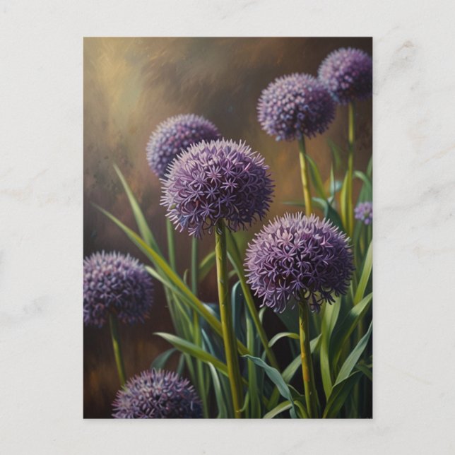Allium flowers postcard (Front)