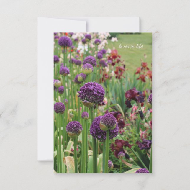 Allium & Iris Flower Bed Card (Front)