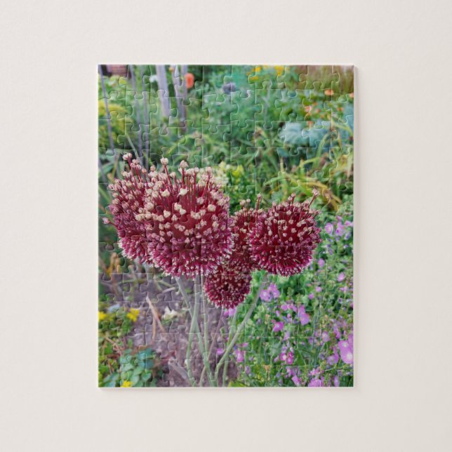 Allium Onion Flower Plant Jigsaw Puzzle (Vertical)