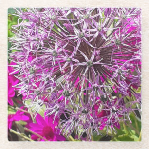 Allium & Summer Flowers  Glass Coaster