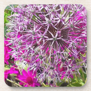 Allium & Summer Flowers Plastic Coaster