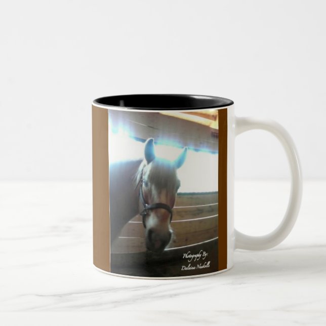 Allo tasse (Droit)