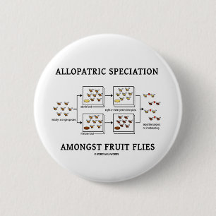 Allopatric Speciation Amongst Fruit Flies 2 Inch Round Button