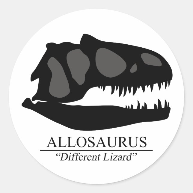 Allosaurus Skull Classic Round Sticker (Front)
